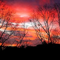 Портфолио HomeEscape